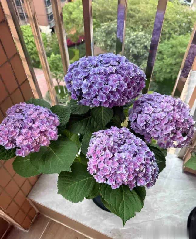 是不会有错 是不会有错