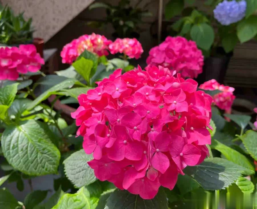 span, https, img span, https, img