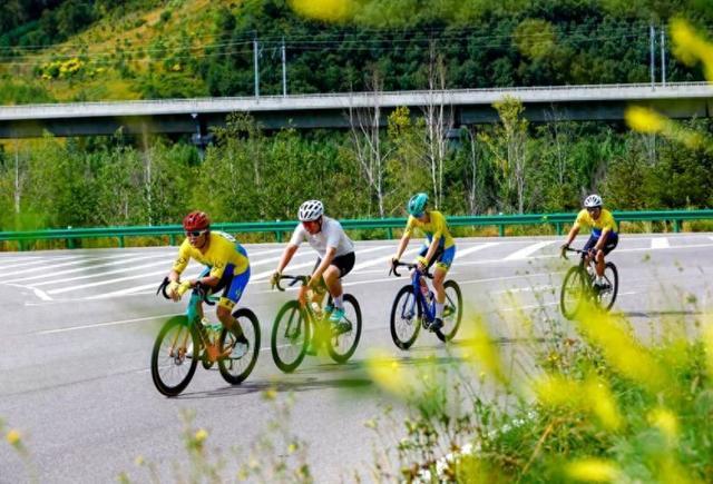 草原天路地 草原天路地