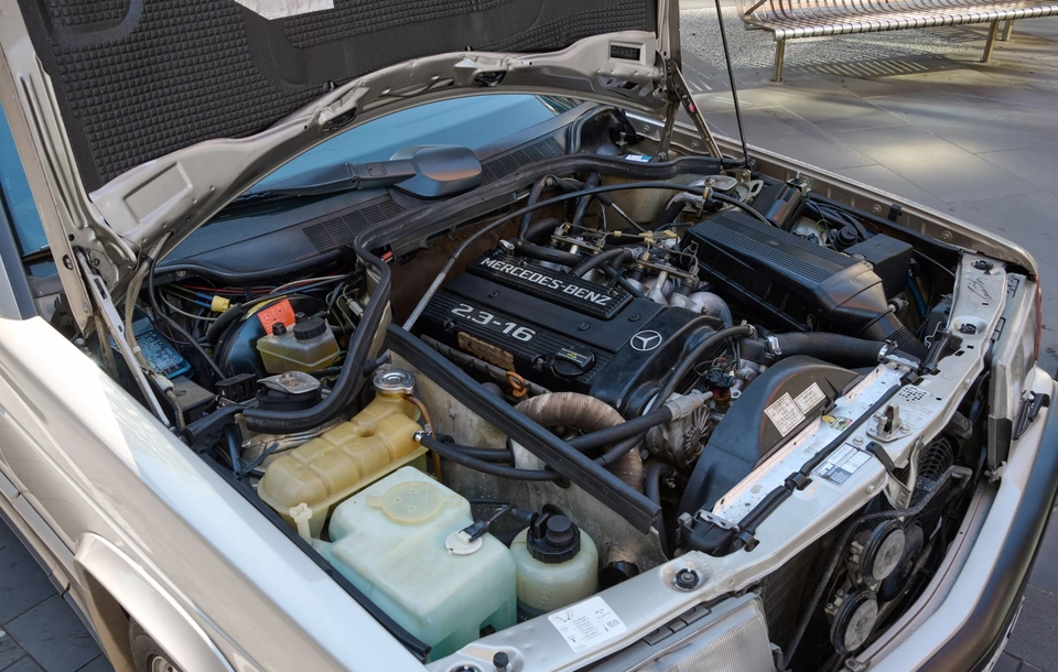 利亚时将其, 明星 利亚时将其, 明星