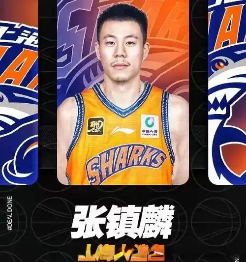 也就是第二, 组织进攻的 也就是第二, 组织进攻的